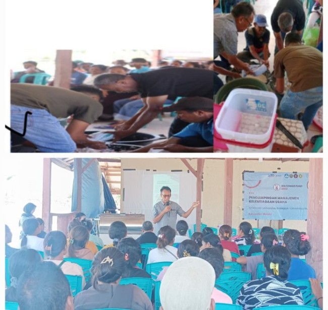 Universitas Nusa Cendana (UNDANA) Kupang dan Universitas Brawijaya Malang, melakukan Program Matching Fund dampingi pengelolaan diversifikasi jagung hibrida dan kacang hijau pada masyarakat transmigrasi Uluklubuk.