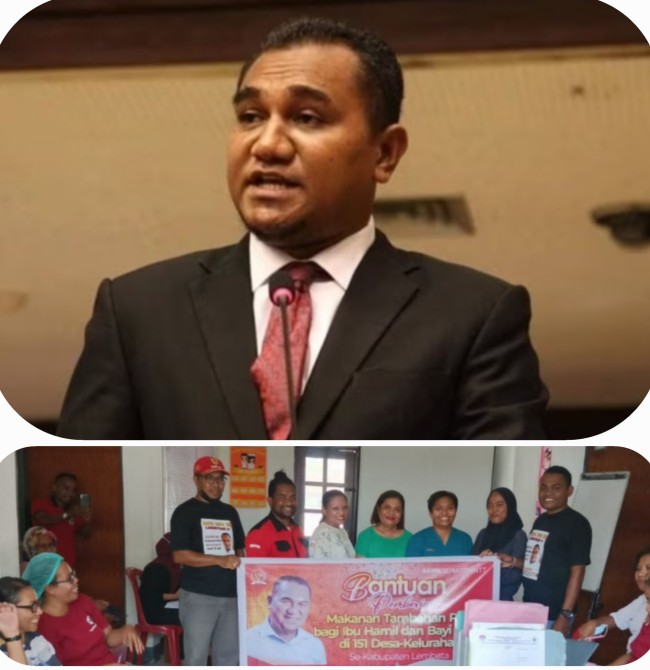 DPD RI Angelius Wake Kako Serahakan Paket PMT Kepada Nakes Di Lembata, (foto_Isti)