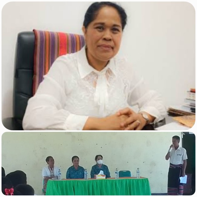 Ketua TP PKK Kabupaten Malaka, drg. Maria Martina Nahak, Terus Berkunjung Setiap Desa Untuk Upaya Penurunan Angka Stunting.(Foto_red)