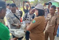 Kepala Dinas Pertanian dr. Januaria Maria Seran Bersama Tim Peternakan Didampimgi Kepala Fafoe Adakan Vaksin HPR Pada Anjing (Foto_red)