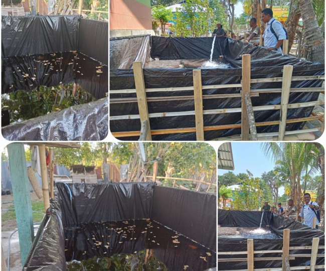 Kepala Desa Fafoe Rofinus Klau S.E Lepas Ribuan Ikan Di Kolam Milik Kelompok Warga Fafoe, (Foto_red)