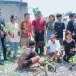 Kepala Desa Fafoe Bersama Mahasiswa Permaper Kefamenanu Dan Kupang Lakukan Kegiatan Penghijauan di Wilayah Desa Fafoe, (Foto_Istimewa)