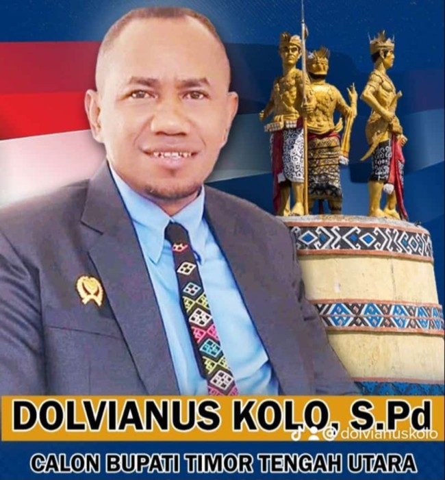 Dolvianus Kolo S.Pd Anggota DPR Provinsi Dua Periode, (Foto Ist)