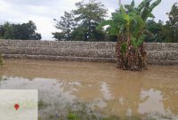Bukti Kerja Nyata Bupati Malaka, Dr. Simon Nahak Selesai Kerjakan Tanggul di Desa Fafoe, Kecamatan Malaka Barat (Foto_red)