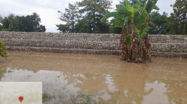 Bukti Kerja Nyata Bupati Malaka, Dr. Simon Nahak Selesai Kerjakan Tanggul di Desa Fafoe, Kecamatan Malaka Barat (Foto_red)