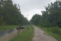 Kondisi Masyarakat Desa Leunklot, Dusun Kakait Menggunakan Kayu Sebagai Tiang Listrik Darurat Untuk Penerangan. (Foto-red)