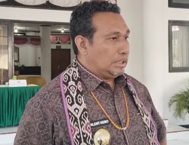 Bupati TTU, Yosep Falentinus Delasalle Kebo. (Foto-Ist)