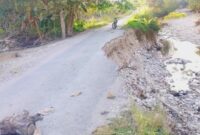 Kerusakan Jalan Wengkiar Desa Weoe, Kecamatan Wewiku. (Foto-red)