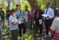 Pemeriksaan setempat (PS) oleh Hakim Pengadilan Negeri Kelas IB Atambua di lokasi objek sengketa, Jumat, 31 Oktober 2025 di Rabasa Haerain Kecamatan Malaka Barat .(Foto-red)