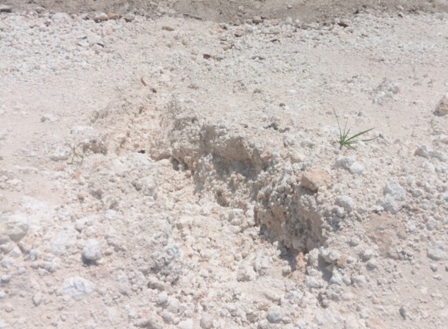 Kondisi Tanggul Naimana Setalah PHO. (Foto-red)