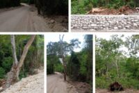 Proses Pekerjaan Pelebaran Jalan Umasukaer- Balibo. (Foto-red)