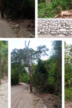 berita-rekomendasi-foto