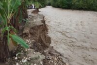 Kondisi akses jalan Penghubung Weoe ke Dusun Uluklubuk Kecamatan Wewiku, Terancam Putus Total. (Foto-red)