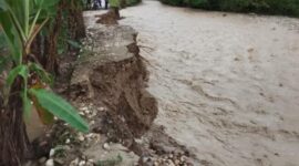 Kondisi akses jalan Penghubung Weoe ke Dusun Uluklubuk Kecamatan Wewiku, Terancam Putus Total. (Foto-red)