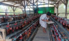 berita-pilihan-foto
